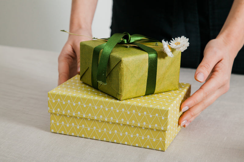 Ola Dash Print Patterned Papers in Leaf Green